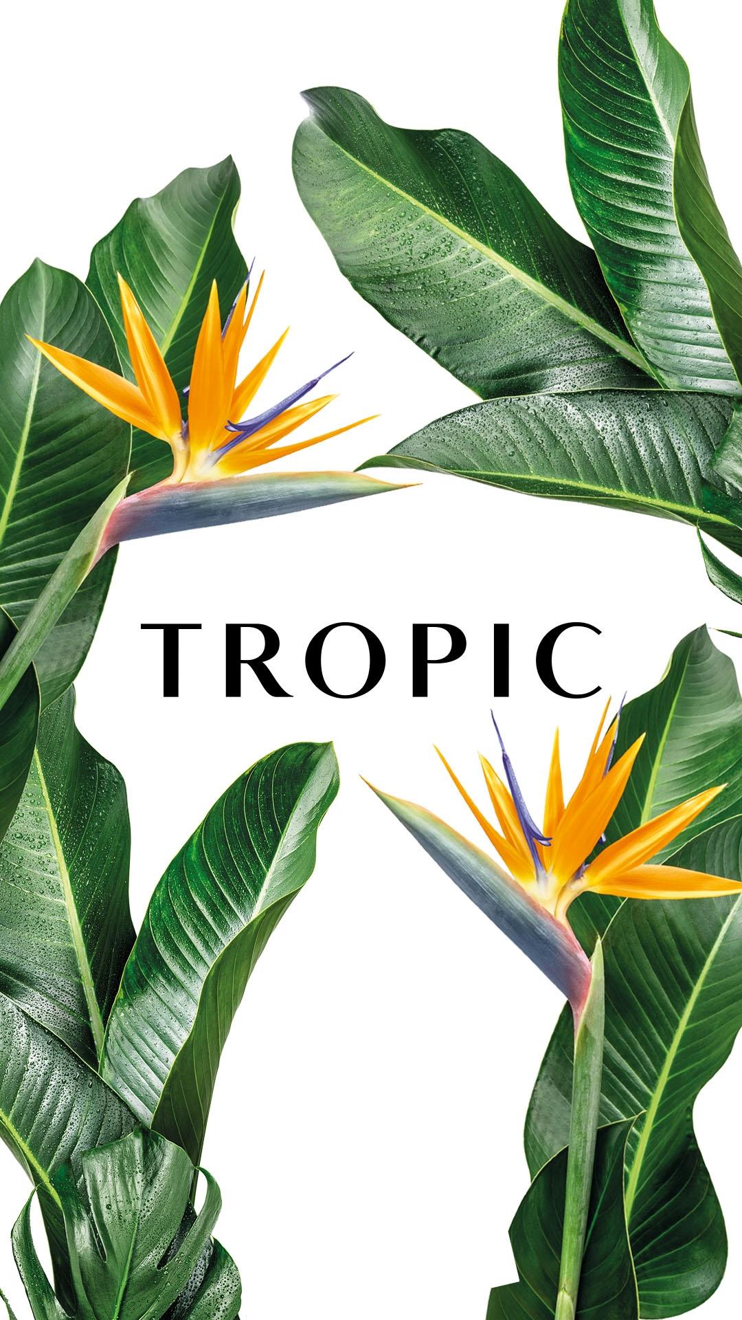 Tropic Ambassador Sophie Sundberg logo